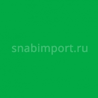 Светофильтр Rosco E-Color+ 124 Dark Green зеленый — купить в Москве в интернет-магазине Snabimport