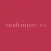 Светофильтр Rosco E-Color+ 127 Smokey Pink Красный — купить в Москве в интернет-магазине Snabimport
