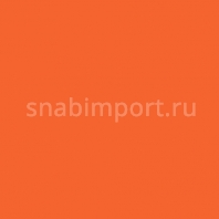 Светофильтр Rosco E-Color+ 134 Golden Amber оранжевый — купить в Москве в интернет-магазине Snabimport
