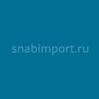Светофильтр Rosco E-Color+ 143 Pale Navy Blue синий — купить в Москве в интернет-магазине Snabimport