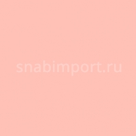 Светофильтр Rosco E-Color+ 151 Gold Tint Красный — купить в Москве в интернет-магазине Snabimport