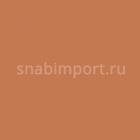 Светофильтр Rosco E-Color+ 156 Chocolate коричневый — купить в Москве в интернет-магазине Snabimport