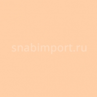 Светофильтр Rosco E-Color+ 162 Bastard Amber Бежевый — купить в Москве в интернет-магазине Snabimport