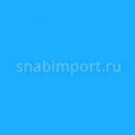 Светофильтр Rosco E-Color+ 165 Daylight Blue голубой — купить в Москве в интернет-магазине Snabimport
