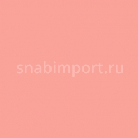 Светофильтр Rosco E-Color+ 176 Loving Amber Красный — купить в Москве в интернет-магазине Snabimport