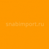 Светофильтр Rosco E-Color+ 179 Chrome Orange оранжевый — купить в Москве в интернет-магазине Snabimport