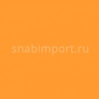 Светофильтр Rosco E-Color+ 204 Full CT Orange оранжевый — купить в Москве в интернет-магазине Snabimport