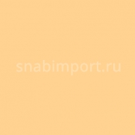 Светофильтр Rosco E-Color+ 205 CT Orange желтый — купить в Москве в интернет-магазине Snabimport