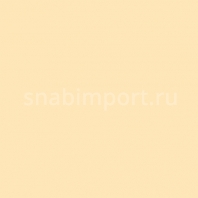 Светофильтр Rosco E-Color+ 206 CT Orange Бежевый — купить в Москве в интернет-магазине Snabimport