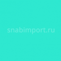 Светофильтр Rosco E-Color+ 219 Fluorescent Green голубой — купить в Москве в интернет-магазине Snabimport