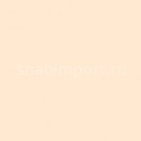 Светофильтр Rosco E-Color+ 223 CT Orange Бежевый — купить в Москве в интернет-магазине Snabimport
