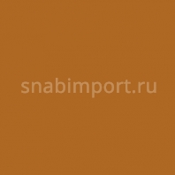 Светофильтр Rosco E-Color+ 232 Super Correction WF Green коричневый — купить в Москве в интернет-магазине Snabimport