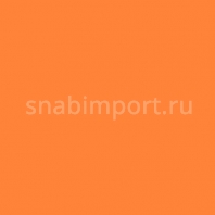 Светофильтр Rosco E-Color+ 236 HMI To Tungsten оранжевый — купить в Москве в интернет-магазине Snabimport