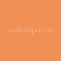 Светофильтр Rosco E-Color+ 237 C.I.D. to Tungsten оранжевый — купить в Москве в интернет-магазине Snabimport