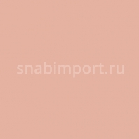 Светофильтр Rosco E-Color+ 238 C.S.I. to Tungsten Бежевый — купить в Москве в интернет-магазине Snabimport