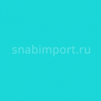 Светофильтр Rosco E-Color+ 241 Fluorescent 5700K голубой — купить в Москве в интернет-магазине Snabimport