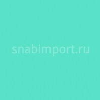 Светофильтр Rosco E-Color+ 242 Fluorescent 4300K зеленый — купить в Москве в интернет-магазине Snabimport