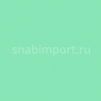 Светофильтр Rosco E-Color+ 243 Fluorescent 3600K зеленый — купить в Москве в интернет-магазине Snabimport