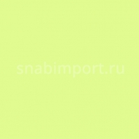 Светофильтр Rosco E-Color+ 244 Plus Green желтый — купить в Москве в интернет-магазине Snabimport