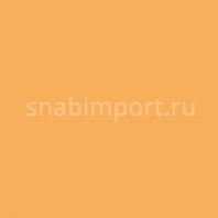 Светофильтр Rosco E-Color+ 285 CT Orange желтый — купить в Москве в интернет-магазине Snabimport
