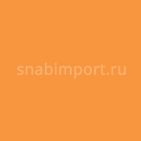 Светофильтр Rosco E-Color+ 286 CT Orange оранжевый — купить в Москве в интернет-магазине Snabimport