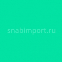 Светофильтр Rosco E-Color+ 323 Jade зеленый — купить в Москве в интернет-магазине Snabimport