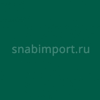 Светофильтр Rosco E-Color+ 325 Mallard Green зеленый — купить в Москве в интернет-магазине Snabimport