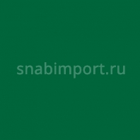 Светофильтр Rosco E-Color+ 327 Forest Green зеленый — купить в Москве в интернет-магазине Snabimport