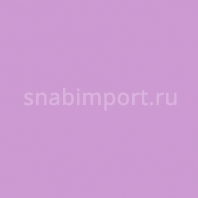 Светофильтр Rosco E-Color+ 341 Plum Фиолетовый — купить в Москве в интернет-магазине Snabimport