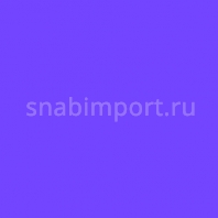 Светофильтр Rosco E-Color+ 343 Special Medium Lavender синий — купить в Москве в интернет-магазине Snabimport