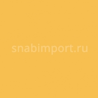 Светофильтр Rosco E-Color+ 441 Full CT Straw желтый — купить в Москве в интернет-магазине Snabimport