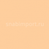 Светофильтр Rosco E-Color+ 442 Half CT Straw Бежевый — купить в Москве в интернет-магазине Snabimport