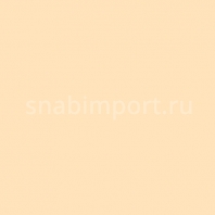 Светофильтр Rosco E-Color+ 443 Quarter CT Straw Бежевый — купить в Москве в интернет-магазине Snabimport