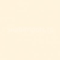 Светофильтр Rosco E-Color+ 444 Eighth CT Straw белый — купить в Москве в интернет-магазине Snabimport