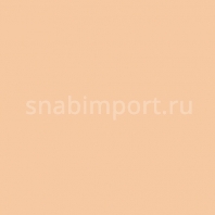 Светофильтр Rosco E-Color+ 506 Marlene Бежевый — купить в Москве в интернет-магазине Snabimport