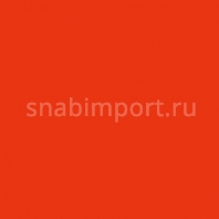 Светофильтр Rosco E-Color+ 507 Madge оранжевый — купить в Москве в интернет-магазине Snabimport