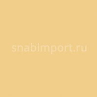 Светофильтр Rosco E-Color+ 5336 Aztec Gold Бежевый — купить в Москве в интернет-магазине Snabimport