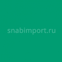 Светофильтр Rosco E-Color+ 5454 Olympia Green зеленый — купить в Москве в интернет-магазине Snabimport
