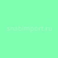 Светофильтр Rosco E-Color+ 5455 Tarragon зеленый — купить в Москве в интернет-магазине Snabimport