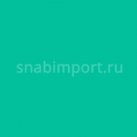 Светофильтр Rosco E-Color+ 5461 Grotto Green зеленый — купить в Москве в интернет-магазине Snabimport