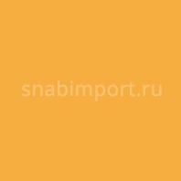 Светофильтр Rosco E-Color+ 550 Gold Medal оранжевый — купить в Москве в интернет-магазине Snabimport