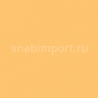 Светофильтр Rosco E-Color+ 604 Full CT Eight Five желтый — купить в Москве в интернет-магазине Snabimport