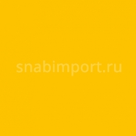 Светофильтр Rosco E-Color+ 643 Quarter Mustard Yellow желтый — купить в Москве в интернет-магазине Snabimport