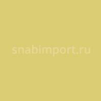 Светофильтр Rosco E-Color+ 650 Industry Sodium желтый — купить в Москве в интернет-магазине Snabimport