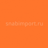 Светофильтр Rosco E-Color+ 652 Urban Sodium оранжевый — купить в Москве в интернет-магазине Snabimport