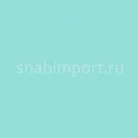 Светофильтр Rosco E-Color+ 728 Steel Green голубой — купить в Москве в интернет-магазине Snabimport