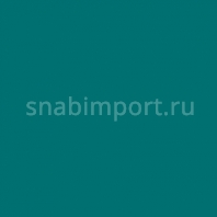 Светофильтр Rosco E-Color+ 729 Scuba Blue зеленый — купить в Москве в интернет-магазине Snabimport