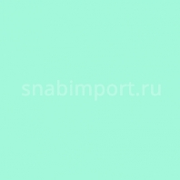Светофильтр Rosco E-Color+ 730 Liberty Green голубой — купить в Москве в интернет-магазине Snabimport