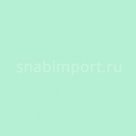 Светофильтр Rosco E-Color+ 731 Dirty Ice зеленый — купить в Москве в интернет-магазине Snabimport