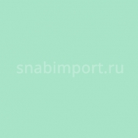 Светофильтр Rosco E-Color+ 733 Damp Squib зеленый — купить в Москве в интернет-магазине Snabimport